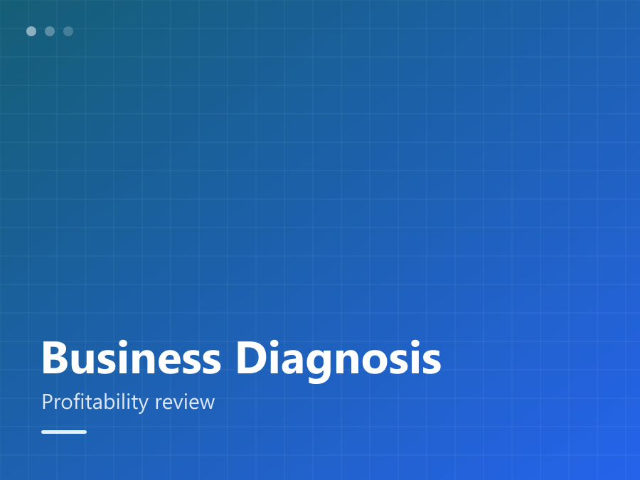 Business Diagnosis & Profitability Review